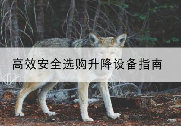 鹿邑升降货梯厂家推荐-*安全选购升降设备指南