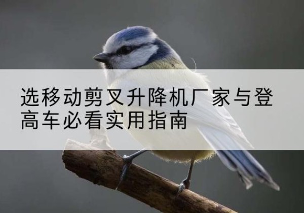 鹿邑电动升降机厂家-选移动剪叉升降机厂家与登高车必看实用指南