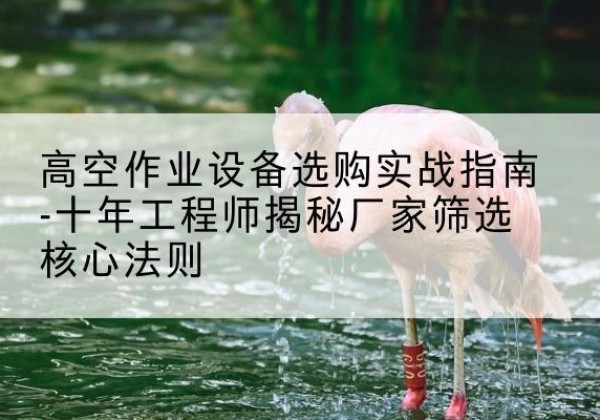 鹿邑剪叉式升降机厂家-高空作业设备选购实战指南-十年工程师揭秘厂家筛选核心法则